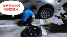 美人鱼汽车多少钱