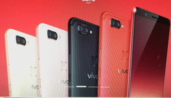 汽车vivo罚多少钱