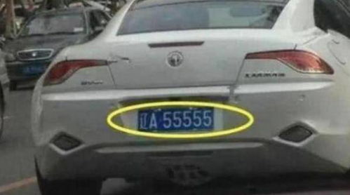 汽车买牌照多少钱