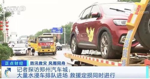 河南强降雨汽车多少辆
