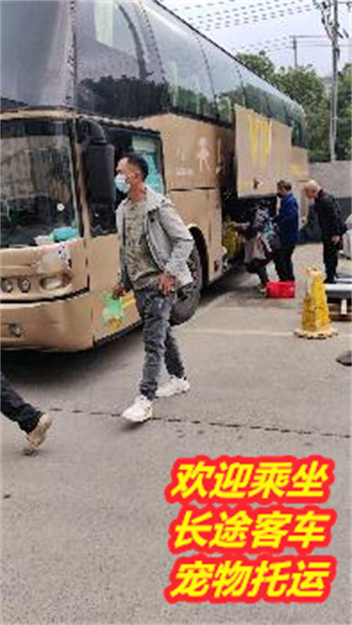 凯里去潮汕汽车票多少