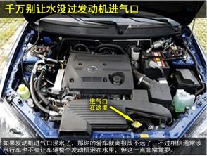 加装汽车散热面罩多少钱