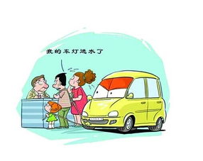 汽车全险撞人赔多少比例
