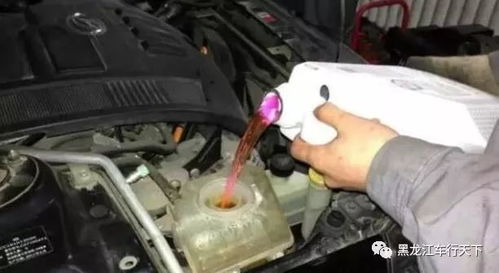 汽车防冻液多少钱一瓶