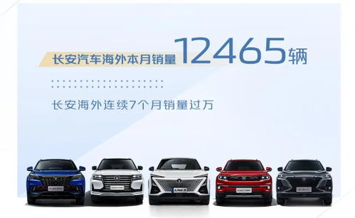 兰山区汽车总销量多少