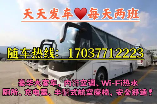 怎么检查汽车线路多少钱