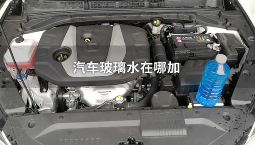 一般汽车玻璃水加多少
