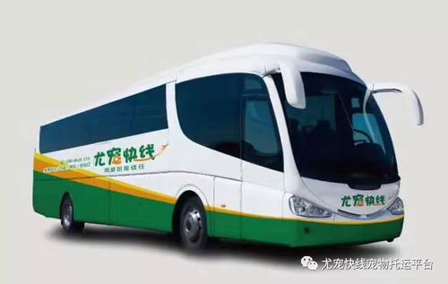 神木汽车站小姐多少钱