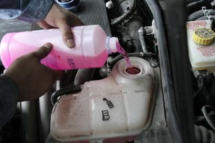 汽车防冻液多少怎么看