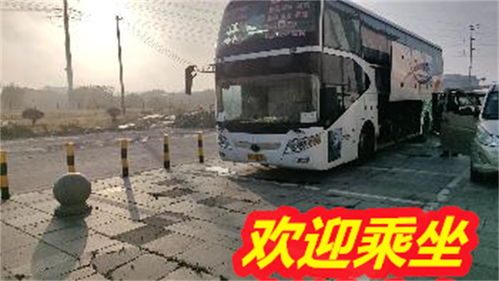 利辛到南京汽车多少钱