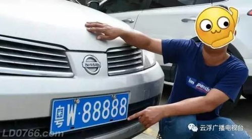 汽车换牌照要多少钱