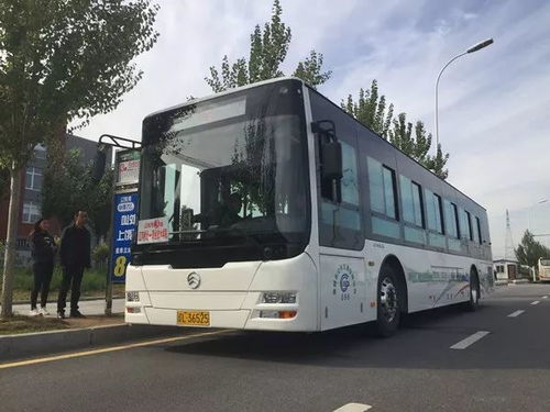 盘锦公共汽车有多少台