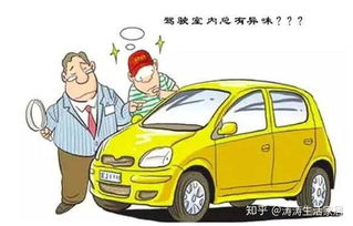 贺州汽车除甲醛报价多少