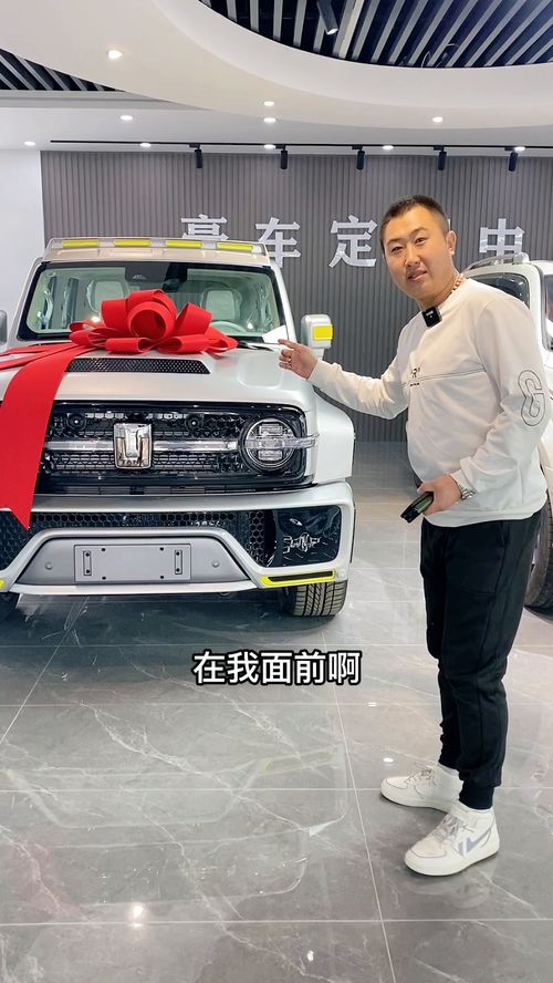 赛博汽车300加价多少