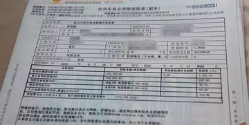 汽车保险一次交多少年好(汽车保险一次交多少年好，深度解析与选择建议)