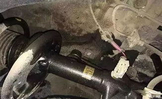 小汽车有多少个减震器的(小汽车减震器数量解析)