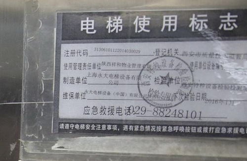 汽车年检一般多少天一次(汽车年检频率解析，多少天一次的常规与考量因素)