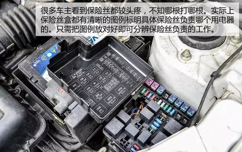 建德汽车保险丝盒多少钱(建德汽车保险丝盒价格解析)