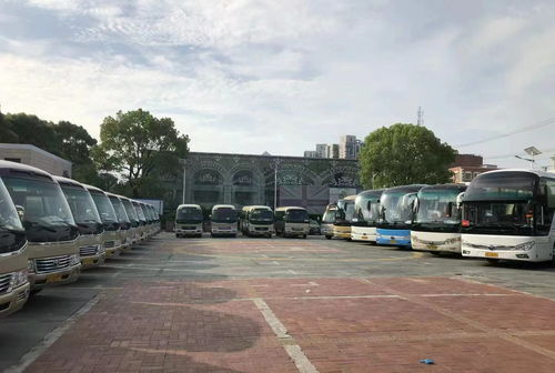 肇州到明水汽车票多少钱(肇州到明水汽车票价详解，费用、路线与旅行建议)