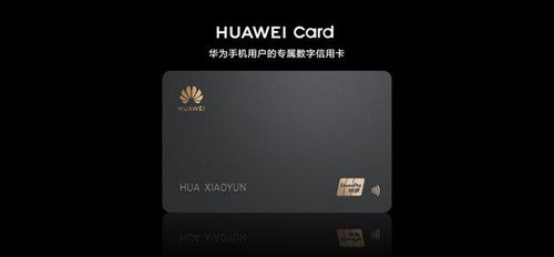电脑怎么刷成华为的字样(如何将电脑刷成华为字样—深度解析与操作指南)