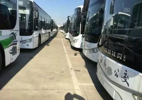 铜陵到宿州汽车站多少钱(铜陵到宿州汽车站的价格详解)