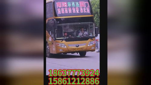 南阳到厦门汽车票多少钱(南阳到厦门汽车票价查询，行程费用详解)