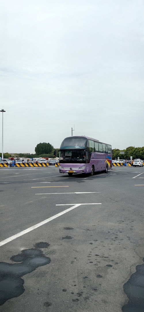到莱州汽车站有多少趟车(莱州汽车站车辆运营概况,车次、班次与路线详解) 到莱州汽车站有多少趟车(莱州汽车站车辆运营概况,车次、班次与路线详解)
