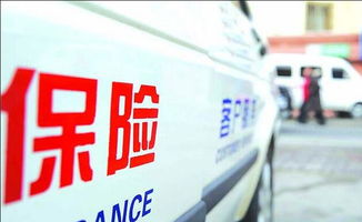 汽车买一年保险多少钱(汽车买一年保险费用详解，价格因素与保障选择)