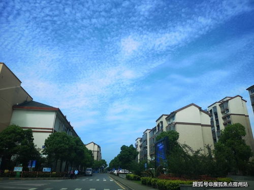 通用汽车显示屏多少钱(通用汽车显示屏价格解析)