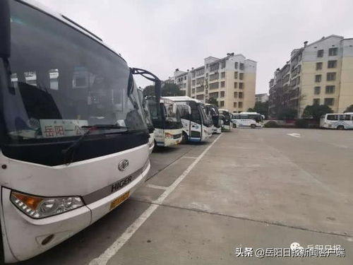 杭州汽车站到大同多少钱(杭州汽车站到大同的交通费用详解)