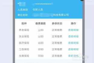 怎么查汽车保险交多少年(如何查询汽车保险缴纳年限,步骤详解) 怎么查汽车保险交多少年(如何查询汽车保险缴纳年限,步骤详解)