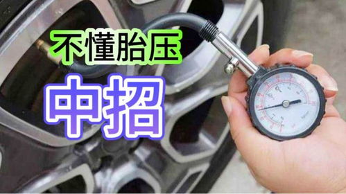 汽车胎压加气需要多少钱(汽车胎压加气需要多少钱，深入了解汽车胎压与加气成本)