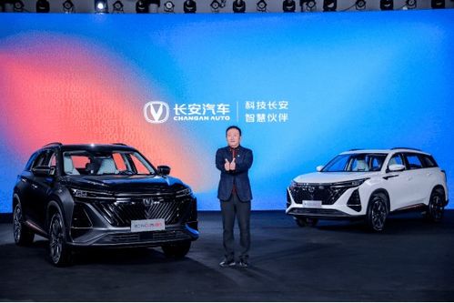 叶县汽车补胎多少钱一次(叶县汽车补胎价格详解,费用、服务与注意事项) 叶县汽车补胎多少钱一次(叶县汽车补胎价格详解,费用、服务与注意事项)