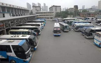 泰安到潍坊汽车站多少钱(泰安到潍坊汽车站的价格及旅行指南)