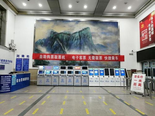 濮阳新区汽车站电话多少(濮阳新区汽车站电话大全，出行必备资讯)