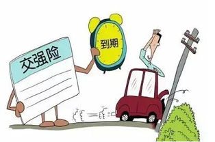 汽车保险交多少年不亏(汽车保险,如何选择合适的保险期限以实现投资回报最大化) 汽车保险交多少年不亏(汽车保险,如何选择合适的保险期限以实现投资回报最大化)
