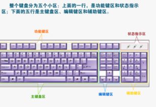 华为电脑外接键盘怎么用(华为电脑外接键盘使用指南)
