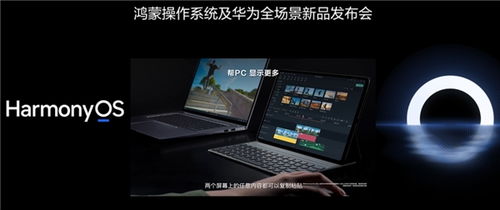 华为电脑怎么装演示软件(华为电脑安装演示软件全攻略)