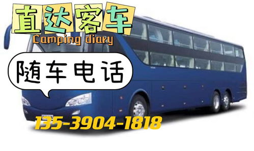 龙川到深圳的汽车多少钱(龙川到深圳汽车票价详解，价格、时间与路线)