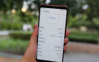 华为电脑怎么翻译字幕视频(华为电脑如何翻译字幕视频，实用指南)