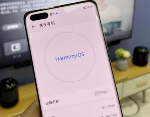 华为鸿蒙和电脑怎么连接(华为鸿蒙系统与电脑连接的实现方法)