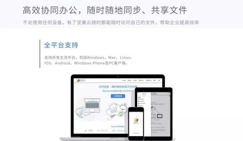 华为电脑触控板怎么选择(华为电脑触控板如何选择和使用指南)