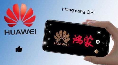 华为手机系统怎么分级