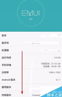 怎么查出华为手机序号