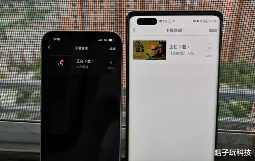 华为手机测速怎么开