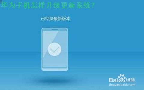 华为手机怎么更新钱包