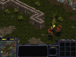 电脑攻略游戏攻略 VS ibb游戏攻略