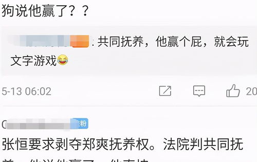 rech游戏攻略 VS 文字游戏游戏会长攻略