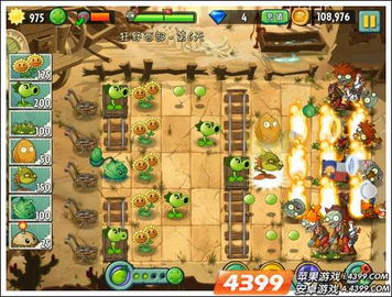 庭院游戏通关攻略 VS 冲锋鸡游戏攻略