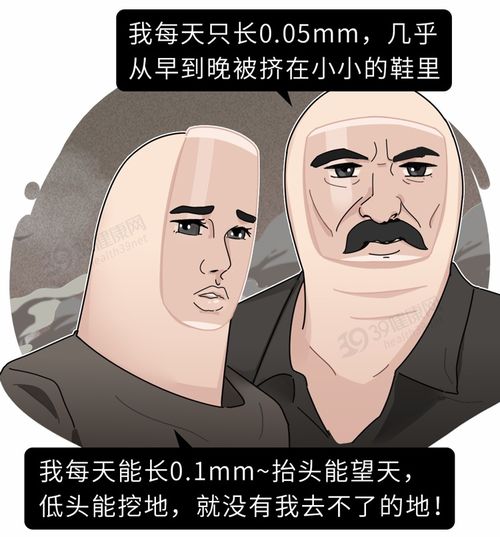 大型游戏校园游戏攻略 VS 惊险山路游戏攻略